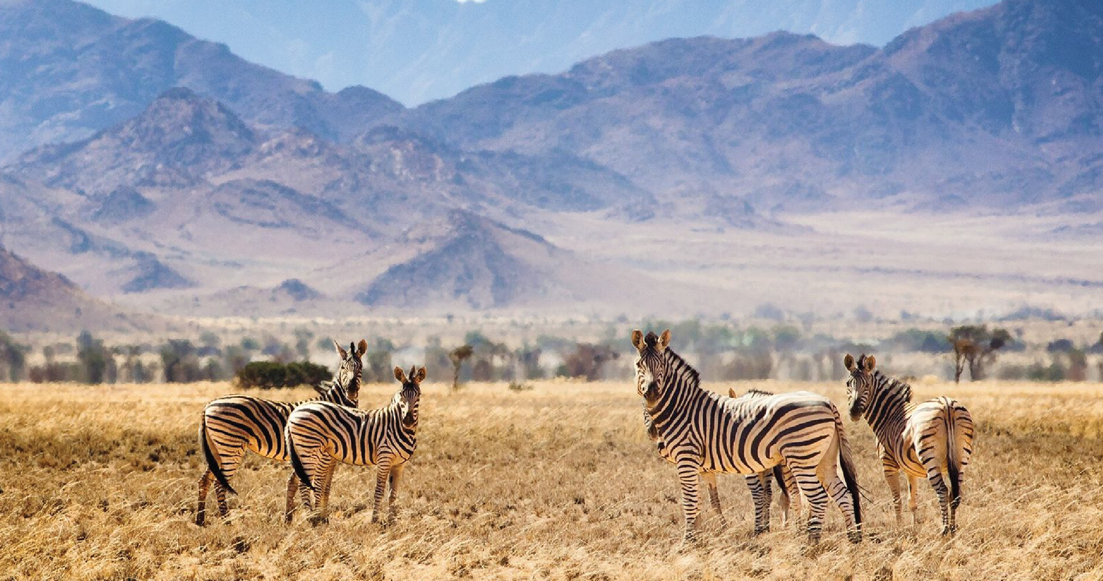 Inland safari tour itenaries